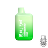 Mini Pod 1000 Puff Disposable 5%